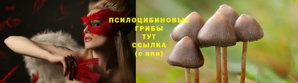 мефедрон Богородицк
