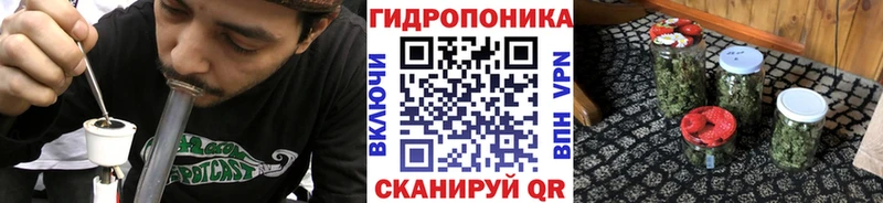 ОМГ ОМГ вход  Малоярославец  МАРИХУАНА планчик 